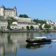 Balade en bateau Saumur